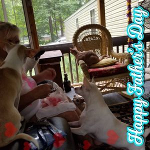 Meet your Posher, John